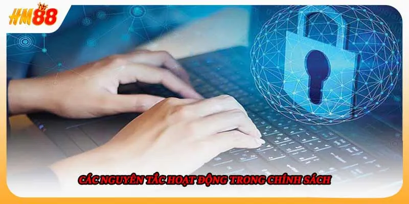 Các nguyên tắc hoạt động trong chính sách